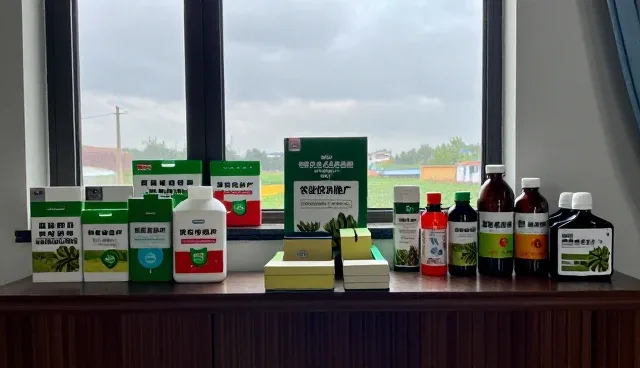 种苗供应选型中的关键考量因素分析
